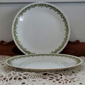 Set of 2 Corelle Vintage Crazy Daisy Dinner Plates 10.25"